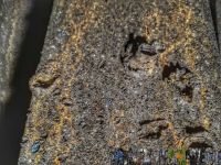 K1024_IMG_20180527_202407-03